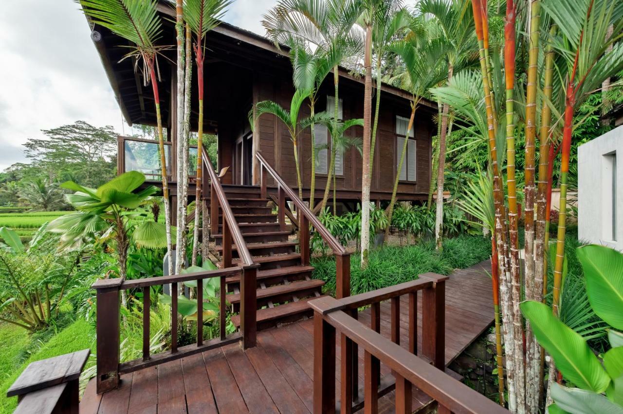 Villa Kembang Bali Ubud Eksteriør billede